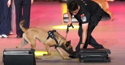 Cina, da inizio anno sequestrate oltre 4 tonnellate di droga alle frontiere