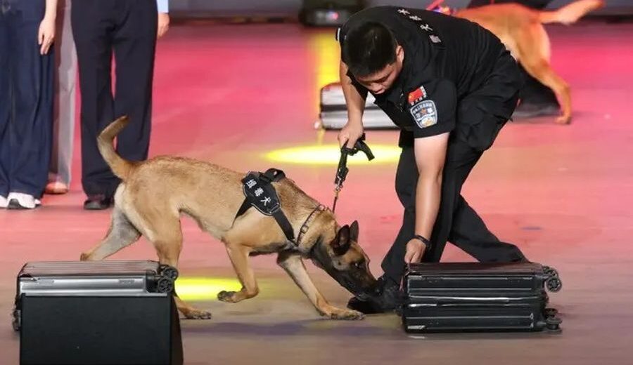 Cina, da inizio anno sequestrate oltre 4 tonnellate di droga alle frontiere