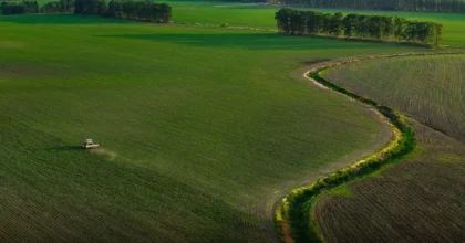 Portavoce Cina, pronti a facilitare commercio agricolo bilaterale con Usa