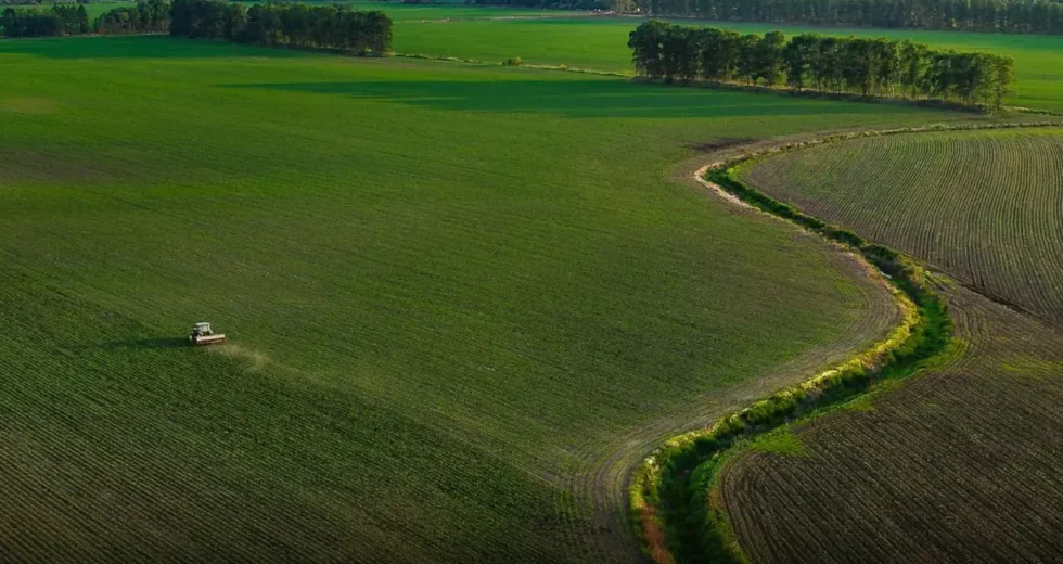 Portavoce Cina, pronti a facilitare commercio agricolo bilaterale con Usa