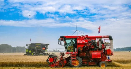Cina, per la prima volta il raccolto di cereali estivi supera 150 mln tonnellate