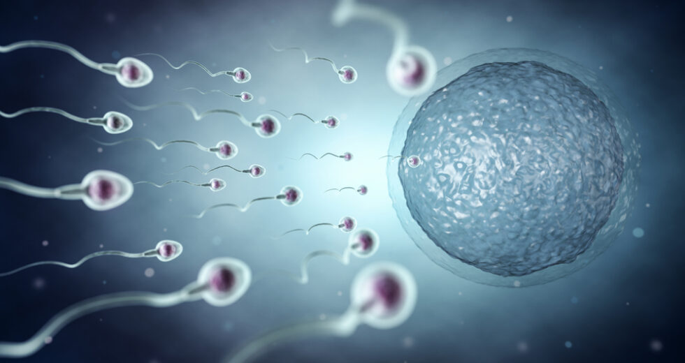 Smog e Fertilità Maschile: Nuove Evidenze dai Recenti Studi