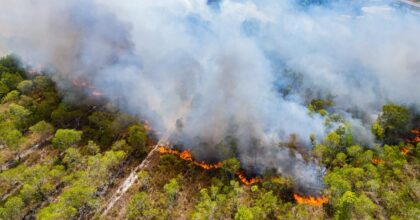 Incendi boschivi in Italia: oltre 1.070 roghi e 741 km² distrutti nei primi sette mesi del 2026