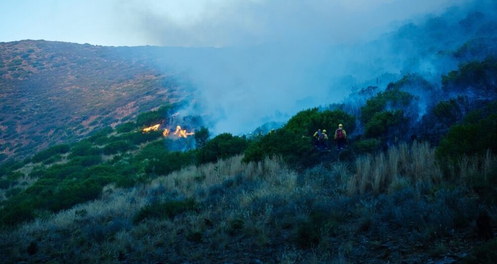 Emergenza incendi a Palermo: oltre 540 interventi dei Vigili del Fuoco in una settimana