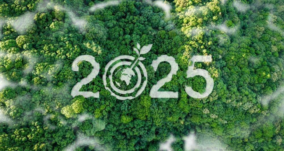 Engineering presenta il Bilancio di Sostenibilità 2025: focus su Intelligenza Artificiale e decarbonizzazione