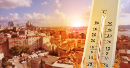 Riforestazione Urbana: Fino a 4 °C di Riduzione delle Temperature nelle Città Italiane