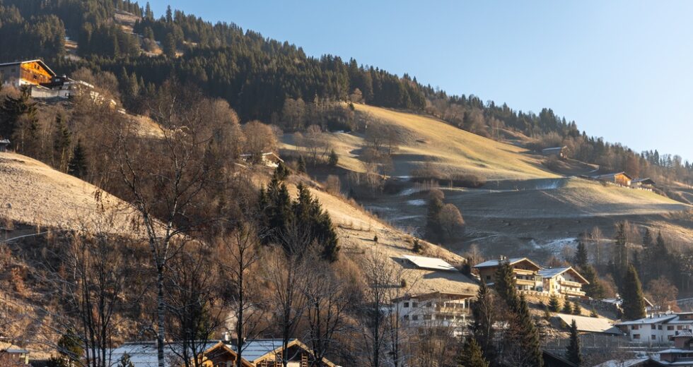 Siccità in Italia: la crisi idrica tra la neve alpina esaurita e i suoli aridi
