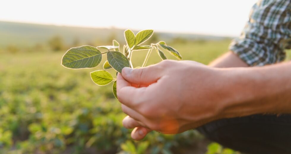 Il fondo Linfa di Riello Investimenti SGR investe in VINHOOD: innovazione nel settore AgrifoodTech