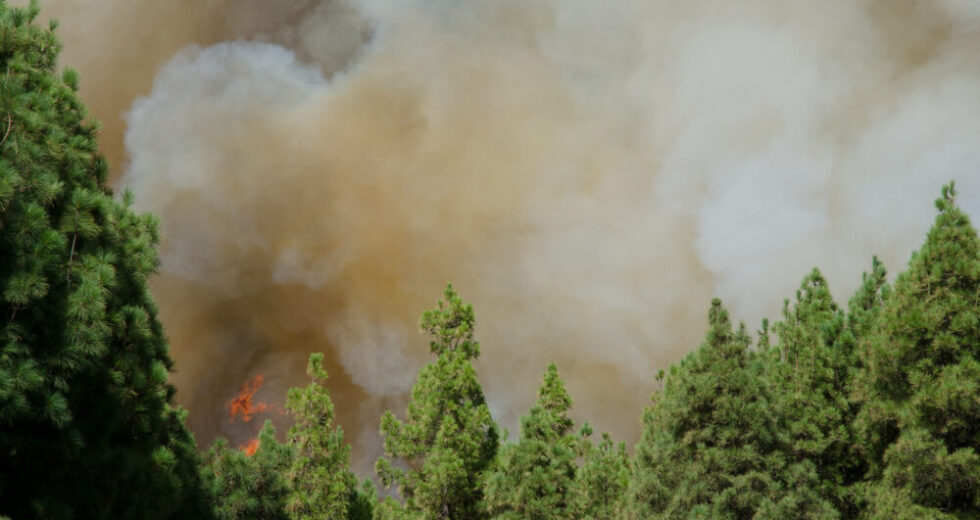Incendi devastanti in Francia e Spagna: oltre 220.000 evacuati e allerta caldo