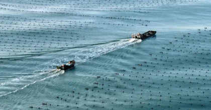 Cina, l’economia marittima segna una crescita costante nel primo semestre