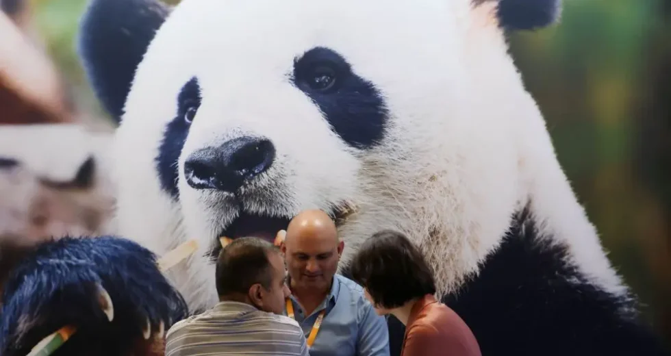 Cina, in aumento dell’11,3% i ricavi dell’industria pubblicitaria