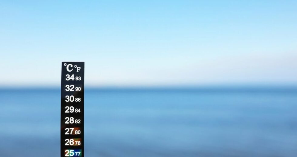Record di temperatura del mare: il 22 agosto 2026 segna un nuovo massimo storico