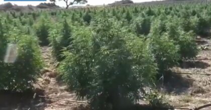 Sgominate due bande dedite allo spaccio a Nuoro, 7 arresti