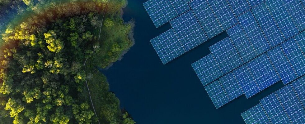 Kering lancia la strategia Water Positive: un passo verso la sostenibilità idrica