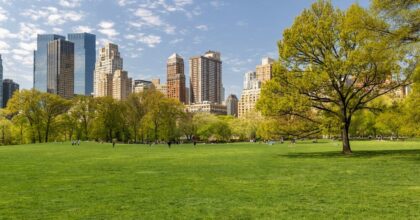 La Necessità di Aumentare il Verde Urbano per Combattere il Cambiamento Climatico