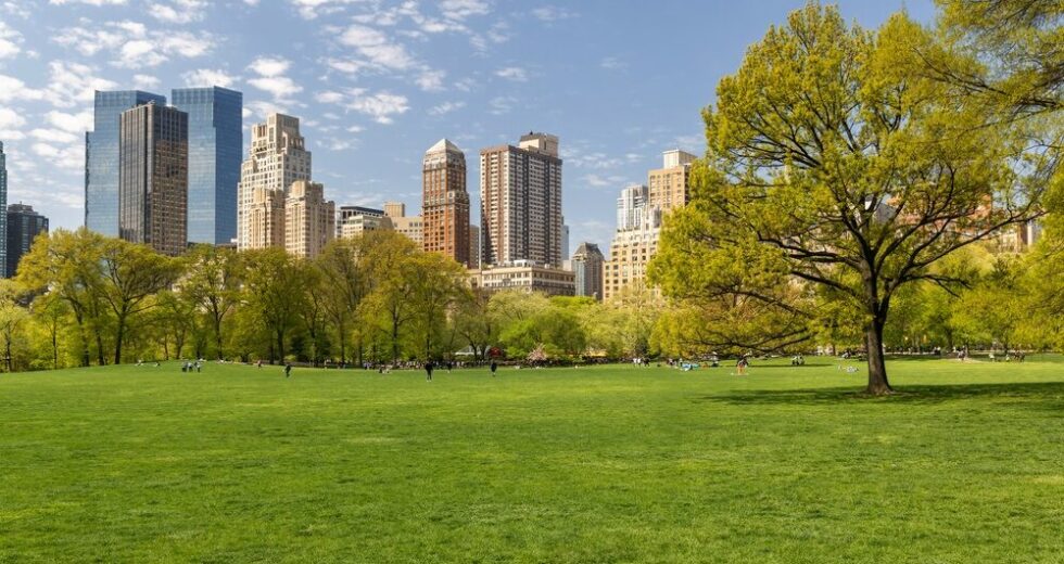 La Necessità di Aumentare il Verde Urbano per Combattere il Cambiamento Climatico