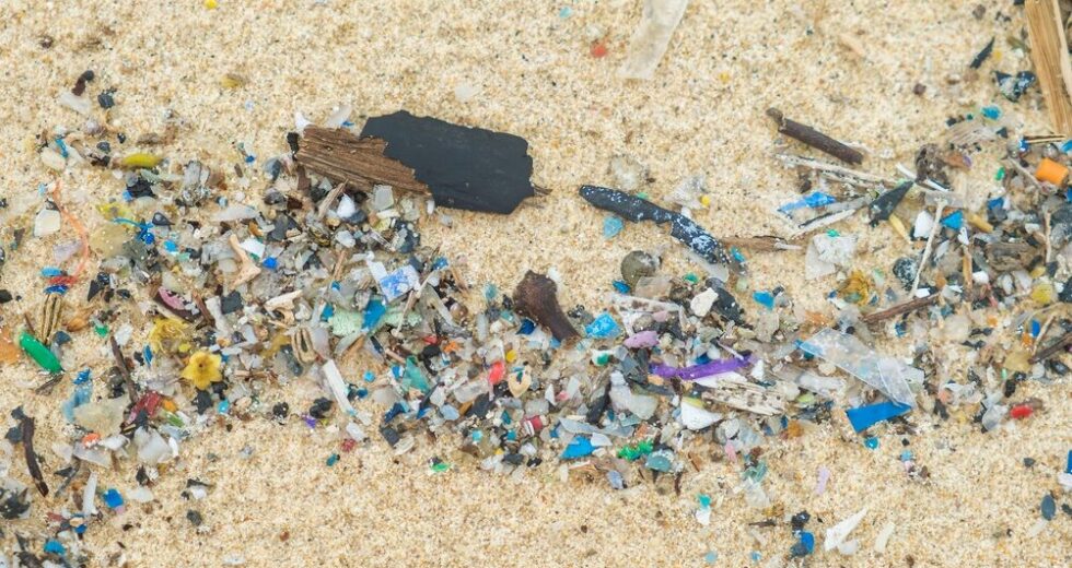 Emergenza plastica in Italia: rischi per la raccolta e il riciclo