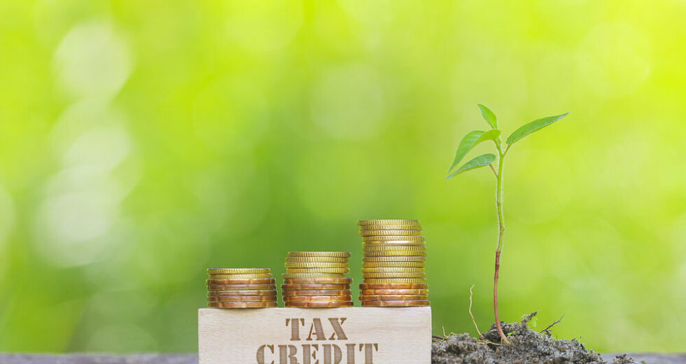 Tax Credit: L’Industria Cinematografica Chiede 80 Milioni in Più per il 2026