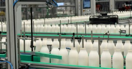 Arriva sul mercato italiano un’innovativa bottiglia in fibra di carta