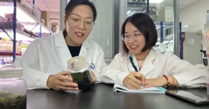 Cina, scoperta la pianta desertica “più resistente” anche nello spazio