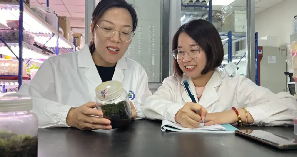 Cina, scoperta la pianta desertica “più resistente” anche nello spazio