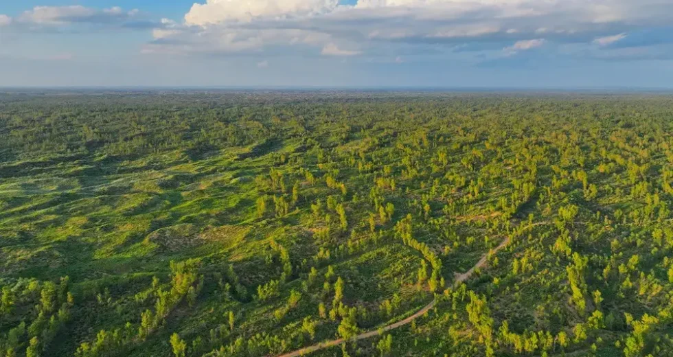 Dal deserto cinese di Mu Us al mondo, la storia della “guerriera della sabbia”
