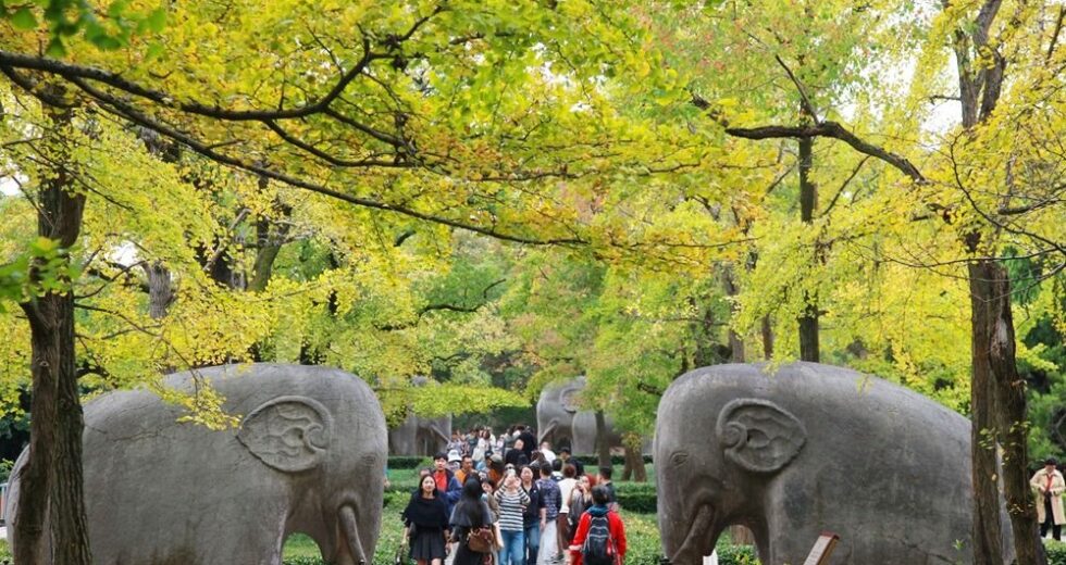 Cina, cresce il mercato interno del turismo